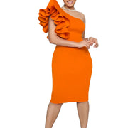 Elegant Sheer Panel Bodycon Dress